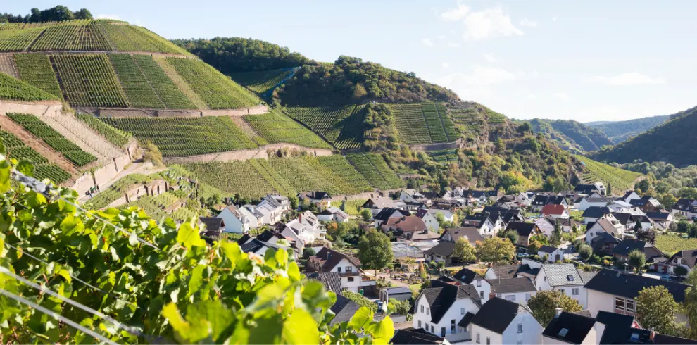 Visuel voyage slow et bas en carbone en Allemagne - vue de la vallée de l'Ahr