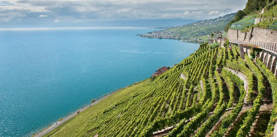 Voyage slow et bas carbone en Suisse - vue des vignobles de Lavaux